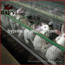 Fuente de la fábrica de descuento Galvanizado Comercial Conejo Farming Cage Supplies